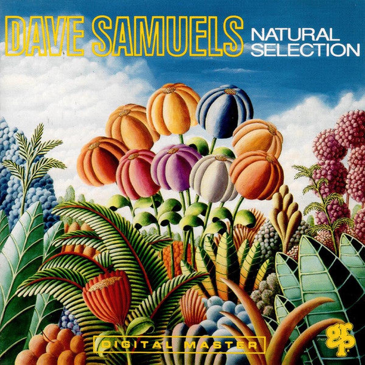 Dave Samuels - Natural Selection (CD, Album) (NM or M-)