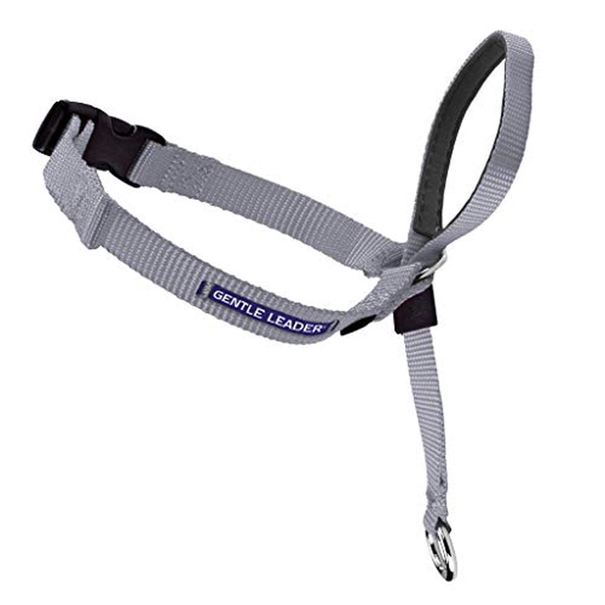 Premier Gentle Leader Head Dog Collar, Black, Small - Silver | Large