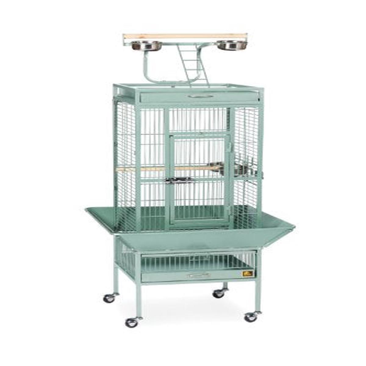 Prevue Pet Products Wrought Iron Select Cage - Sage | 30x22x60in