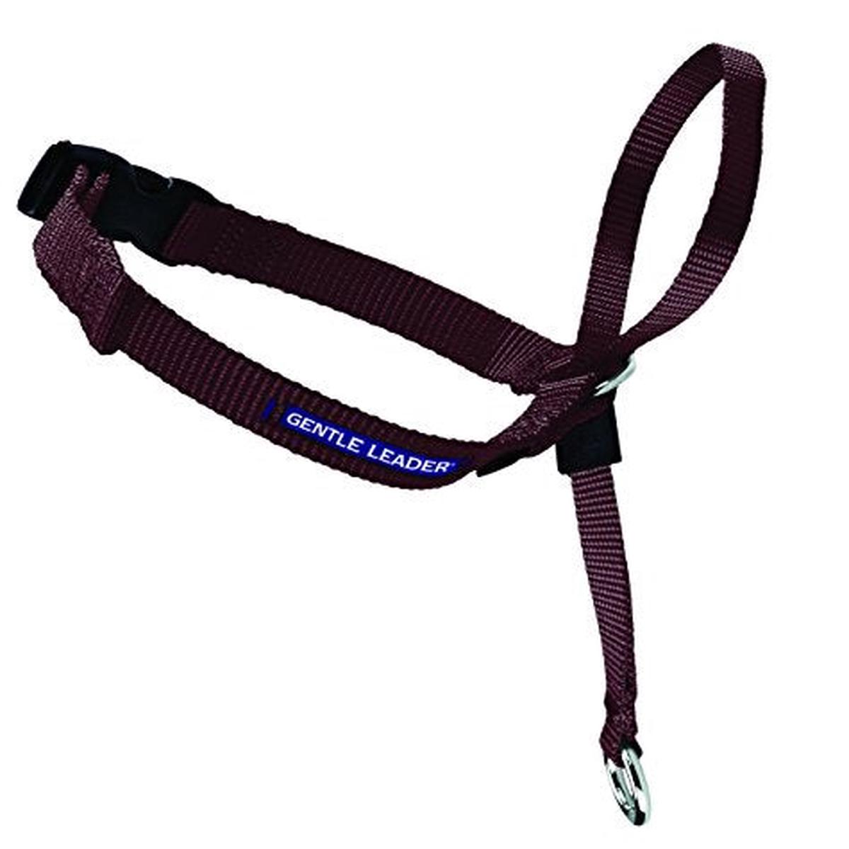 Radio Systems PRP-GLQHCSBR Gentle Leader Quick Release Headcollar, Small, Brown - Default Title
