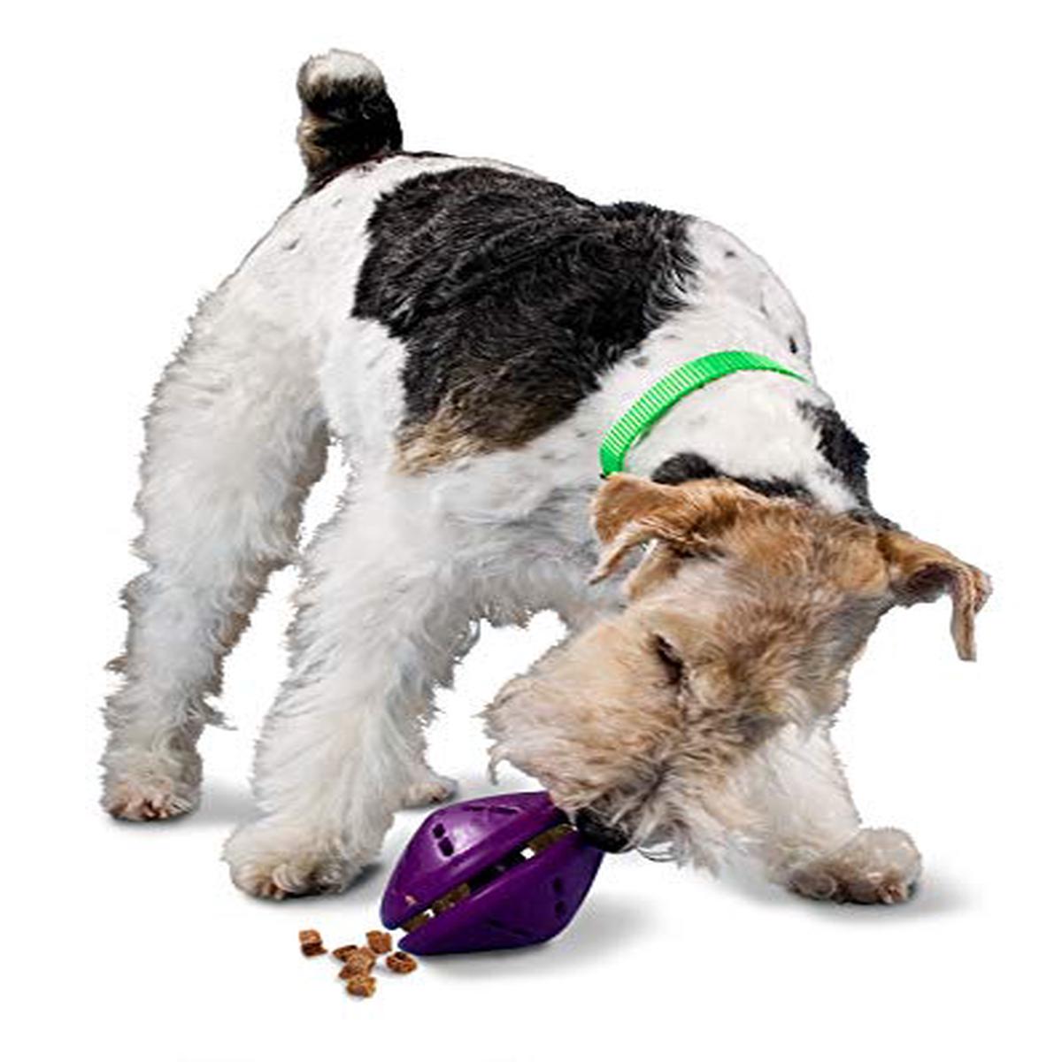 PetSafe Twist 'n Treat Dog Toy, Use with Food or Treats - Medium