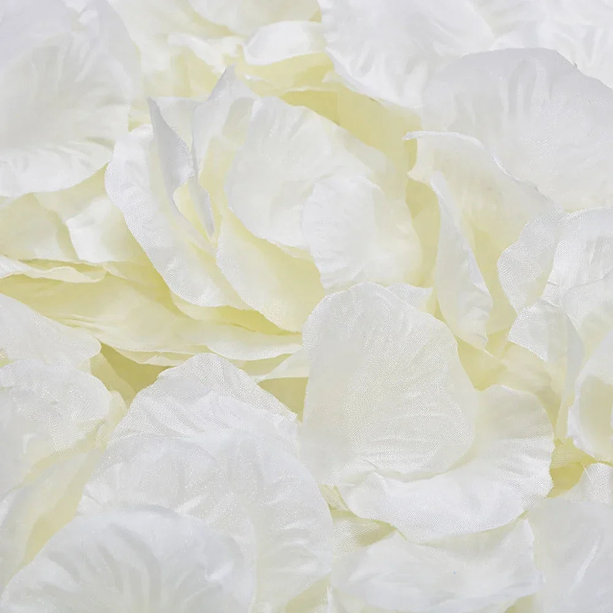 100-10000Pcs Top Colorful Artificial Fake Rose Petals Red White Gold Roses Petal Flowers Romantic Wedding Party Valentine Decor - Milky White | 5000Pcs