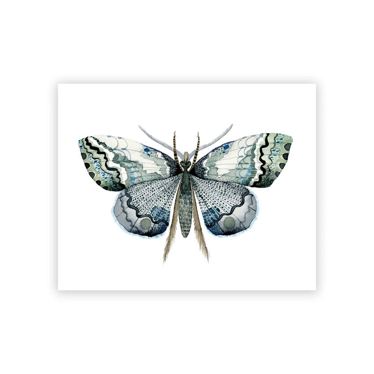Moth Art Print Black Butterfly Poster Vintage Bee Canvas Painting Dark Bee Prints Nature Insect Educational Wall Pictures Decor - PC8111 | 13x18 cm No Frame
