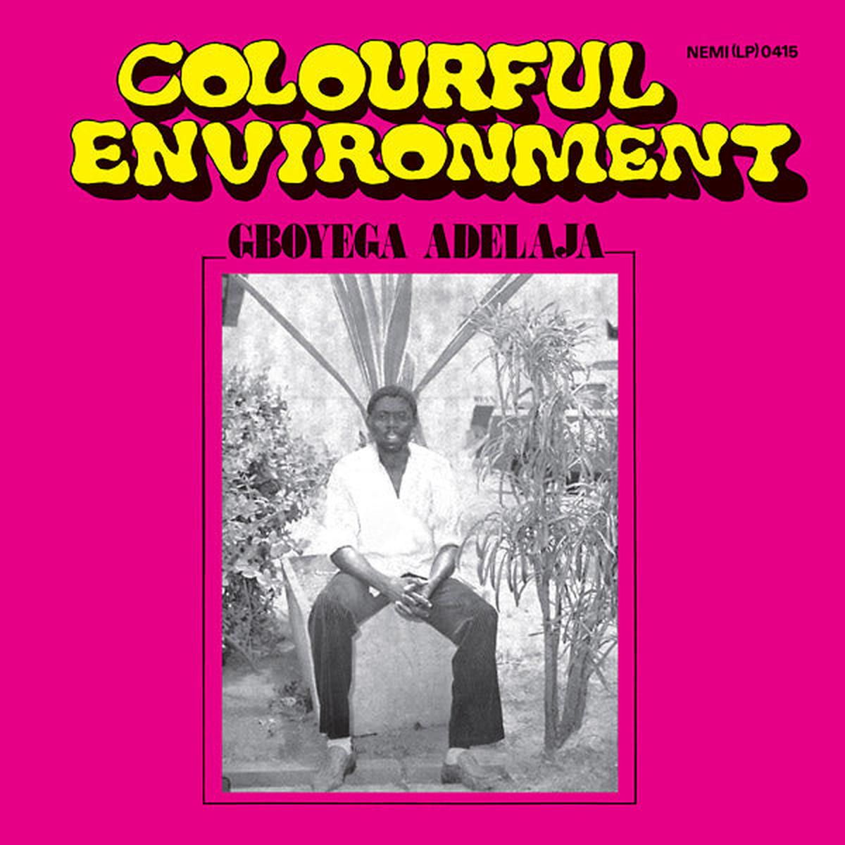 GBOYEGA ADELAJA Colourful Environment - Default Title