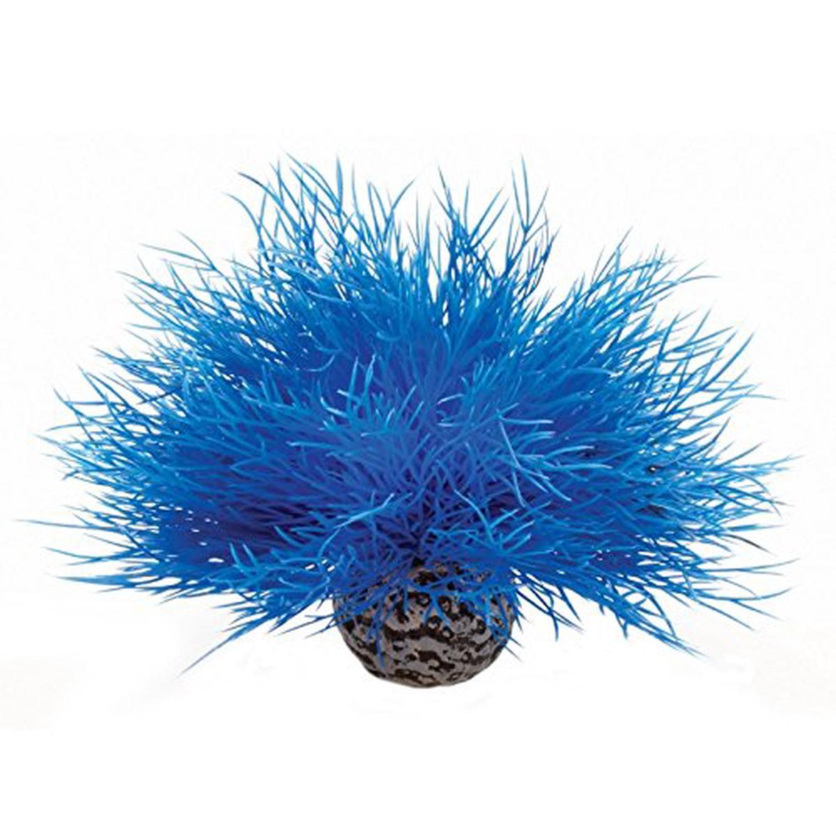 ReefOne BiOrb Sea Lily For Aquarium - Blue
