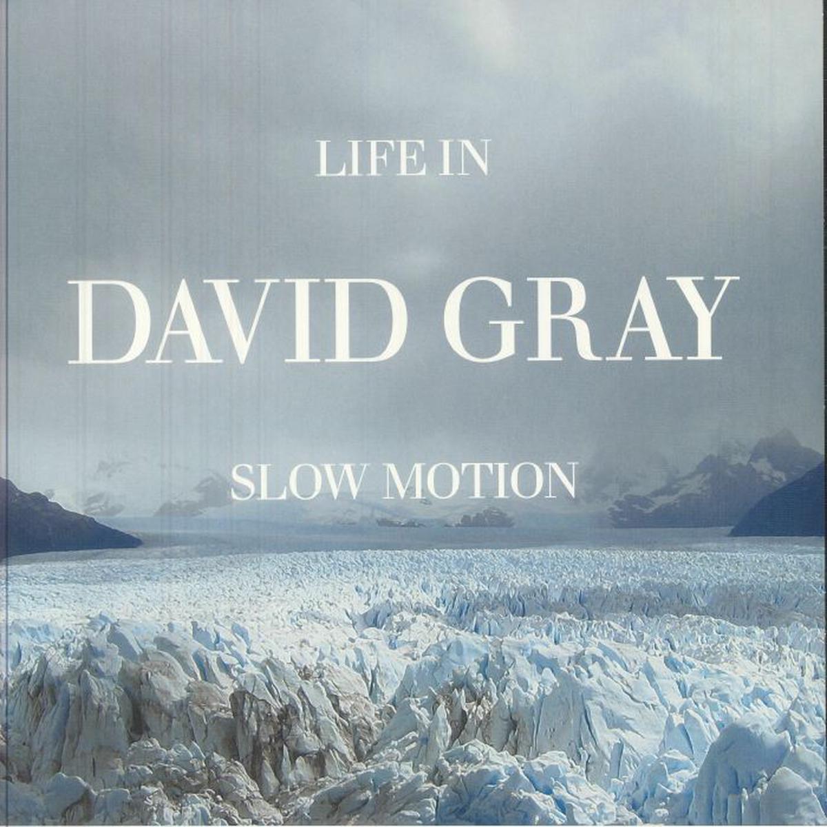 David Gray - Life In Slow Motion (LP)