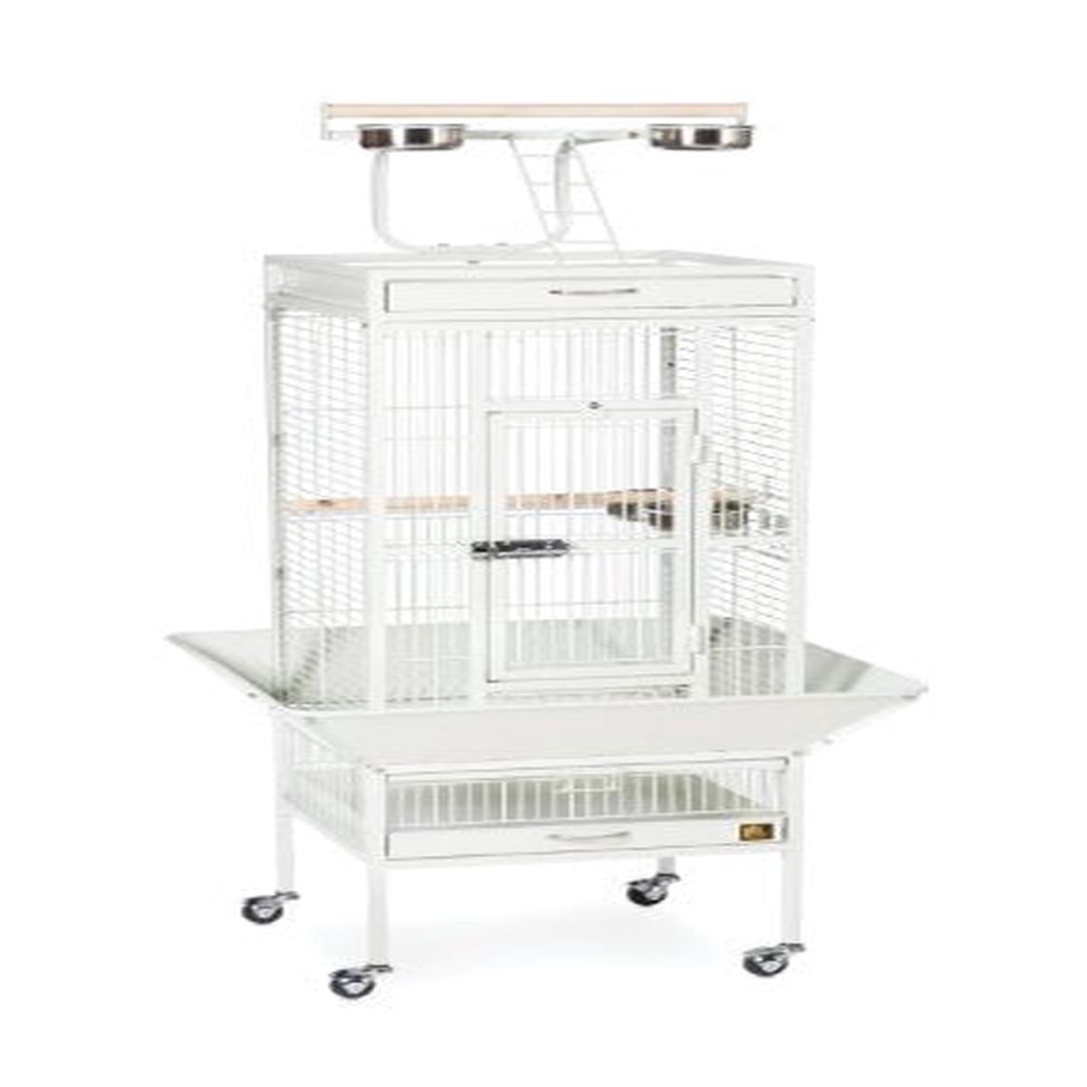 Prevue Pet Products Wrought Iron Select Cage - Chalk White | 36inX24inX66in
