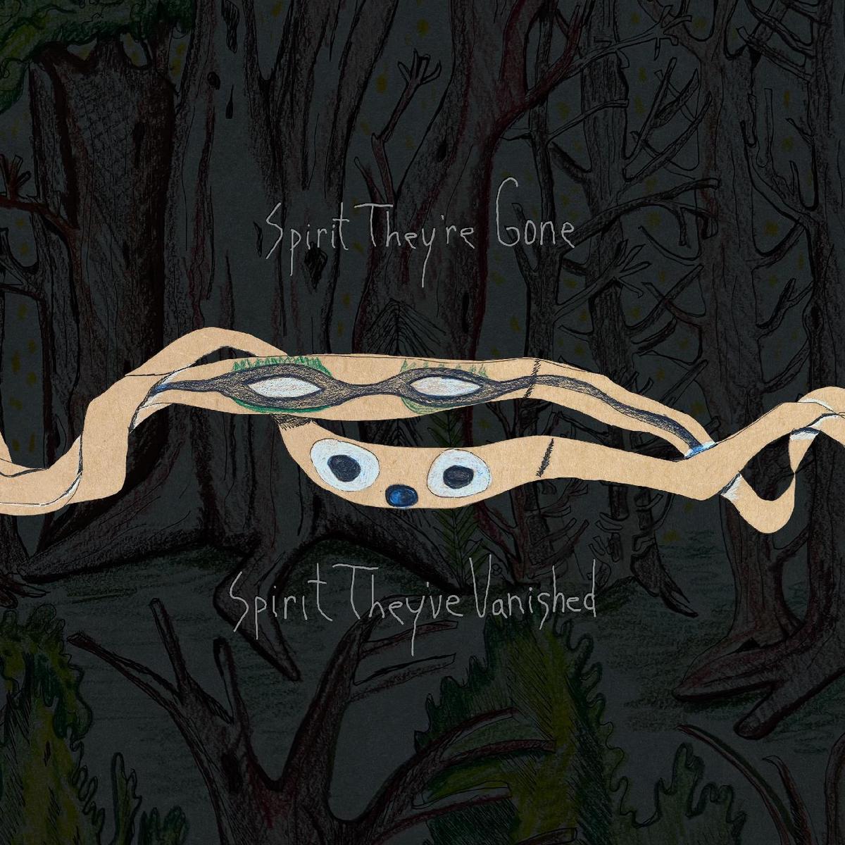 Animal Collective - Spirit They're Gone, Spirit They've Vanished (Remastered 2023) (DELUXE EDITION) ((Indie & Alternative)) - Default Title