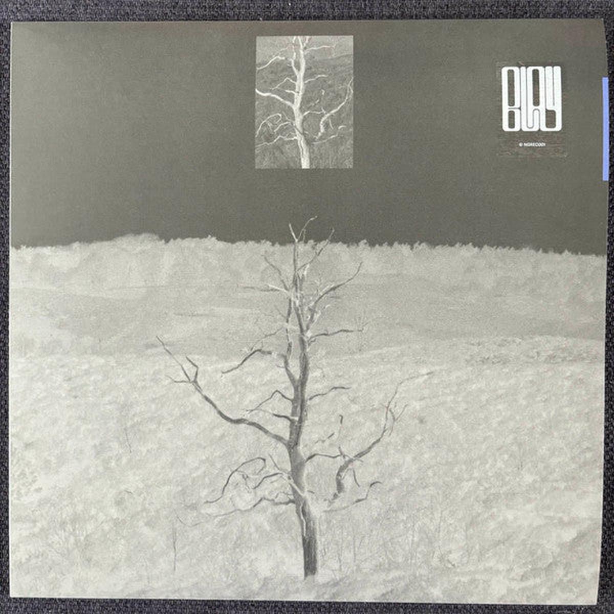 Blay - Spiritual Emersion (12")