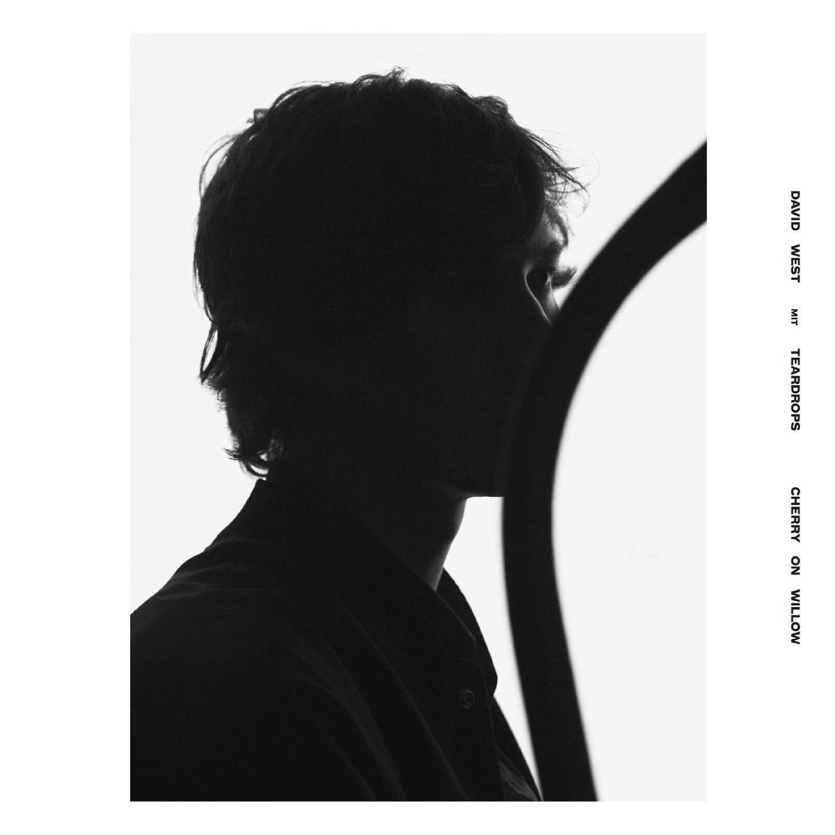 David With Teardrops West - Cherry On Willow ((CD)) - Default Title