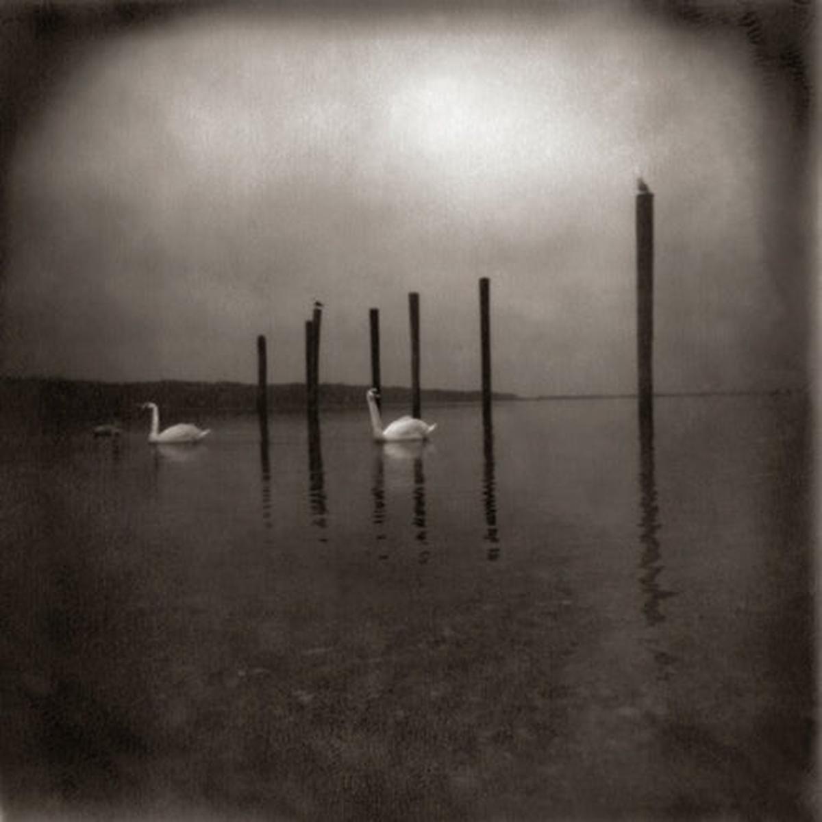 Om Conference of the Birds LP