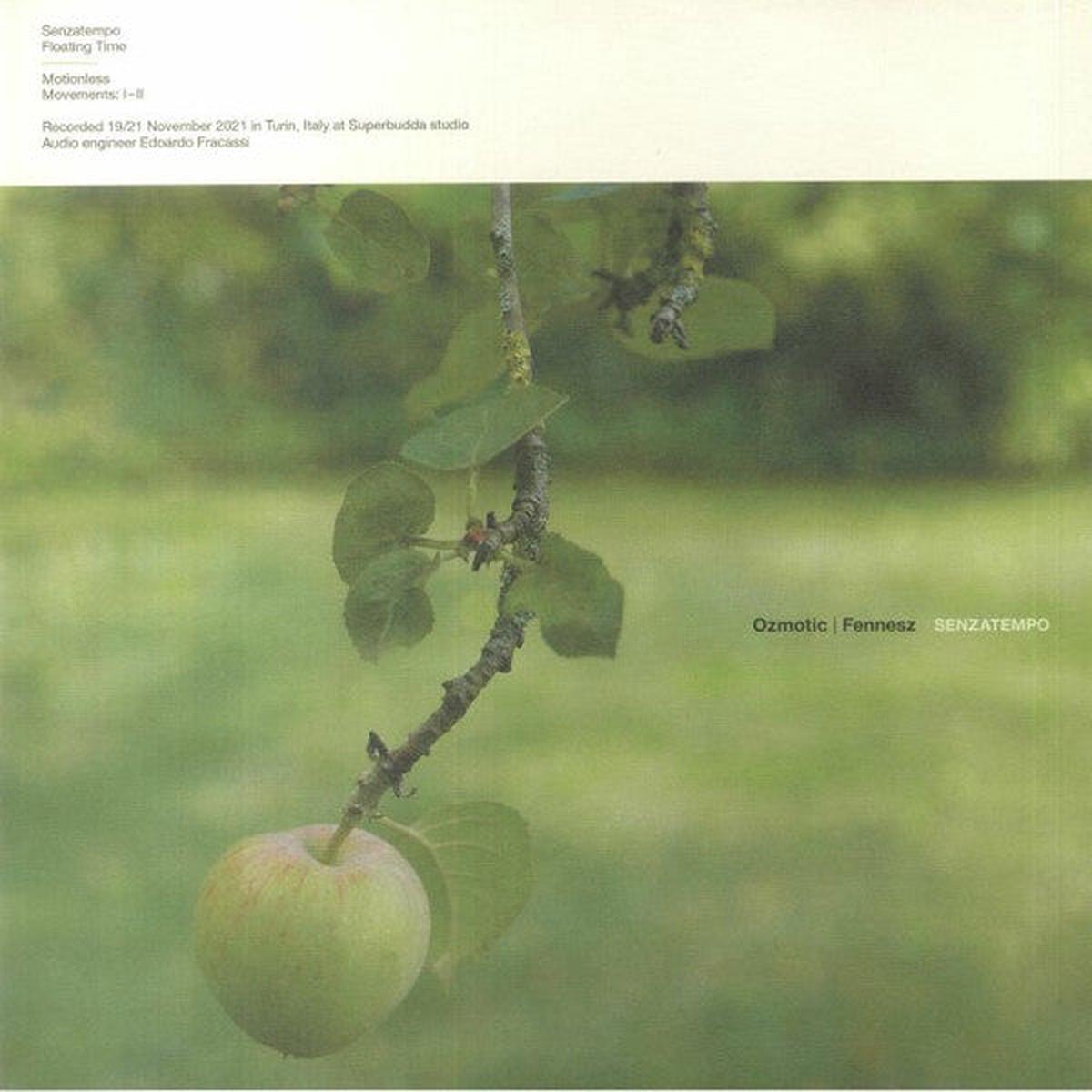Ozmotic | Fennesz - Senzatempo (LP)