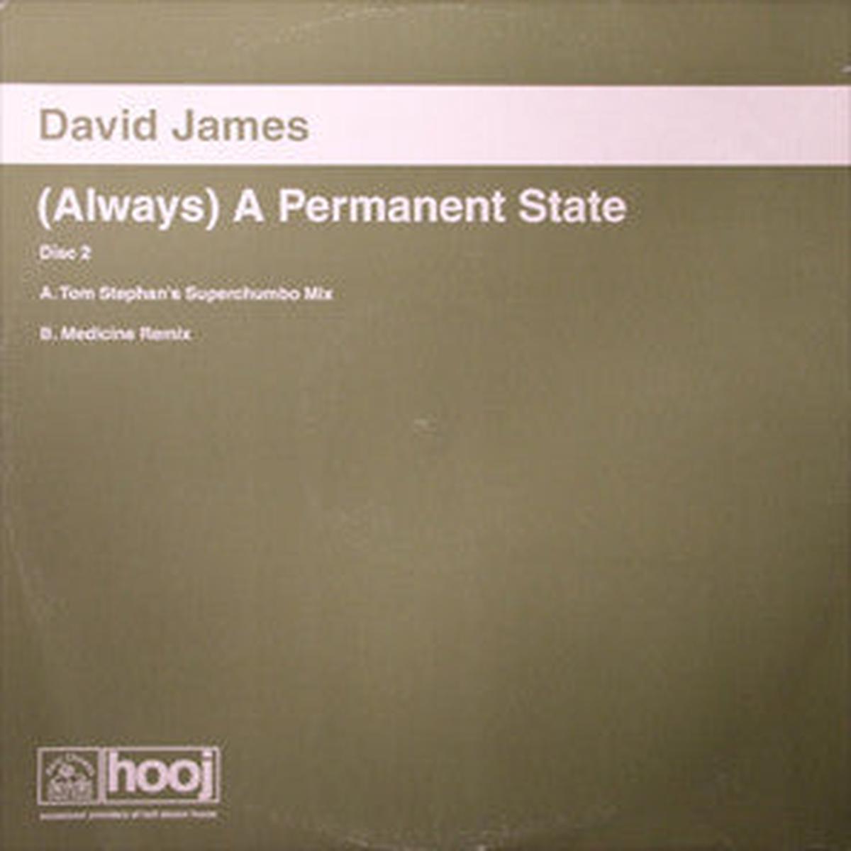 David James - (Always) A Permanent State (12", 2/2) (VG)