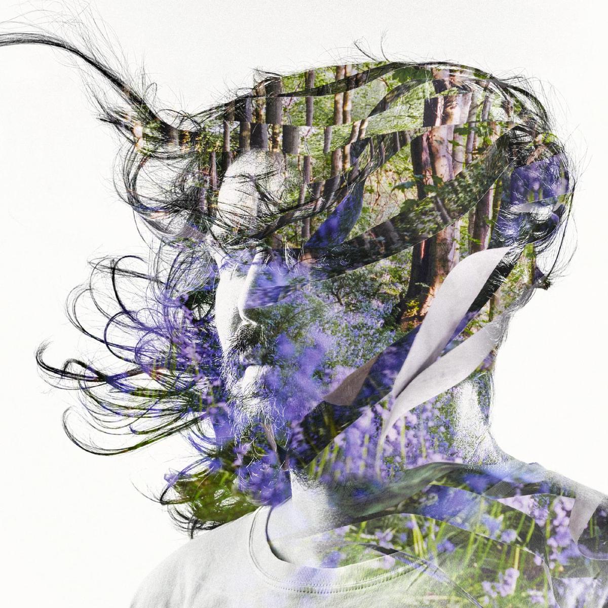Bibio - Ribbons ((CD)) - Default Title