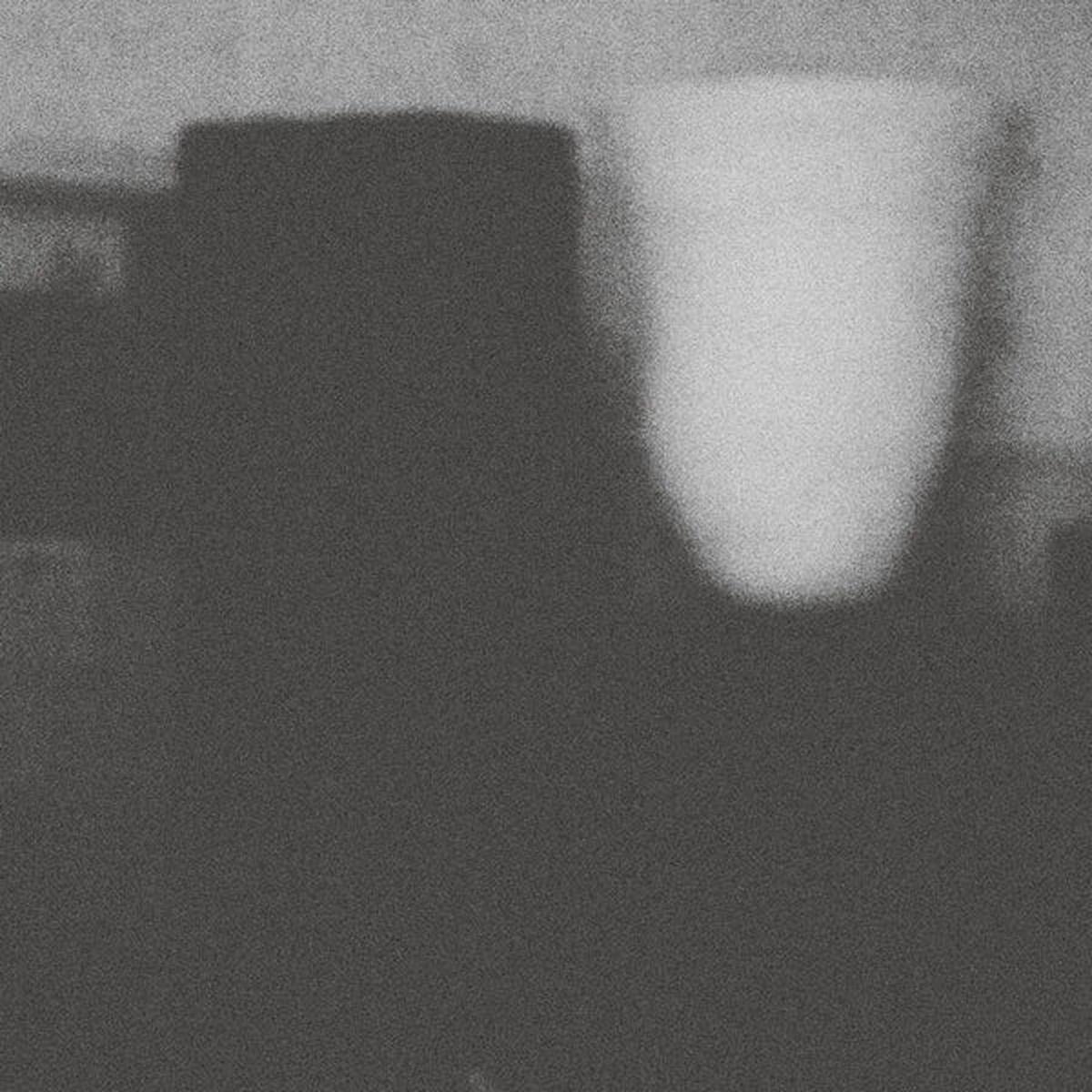 Merzbow The Misfortune Of Virtue The Prosperity Of Vice - Default Title