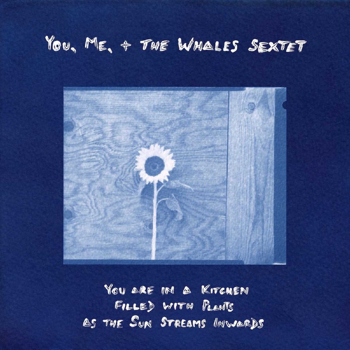 PRE-ORDER: You, Me, + the Whales Sextet "You are in a Kitchen Filled with Plants as the Sun Streams Inwards" LP