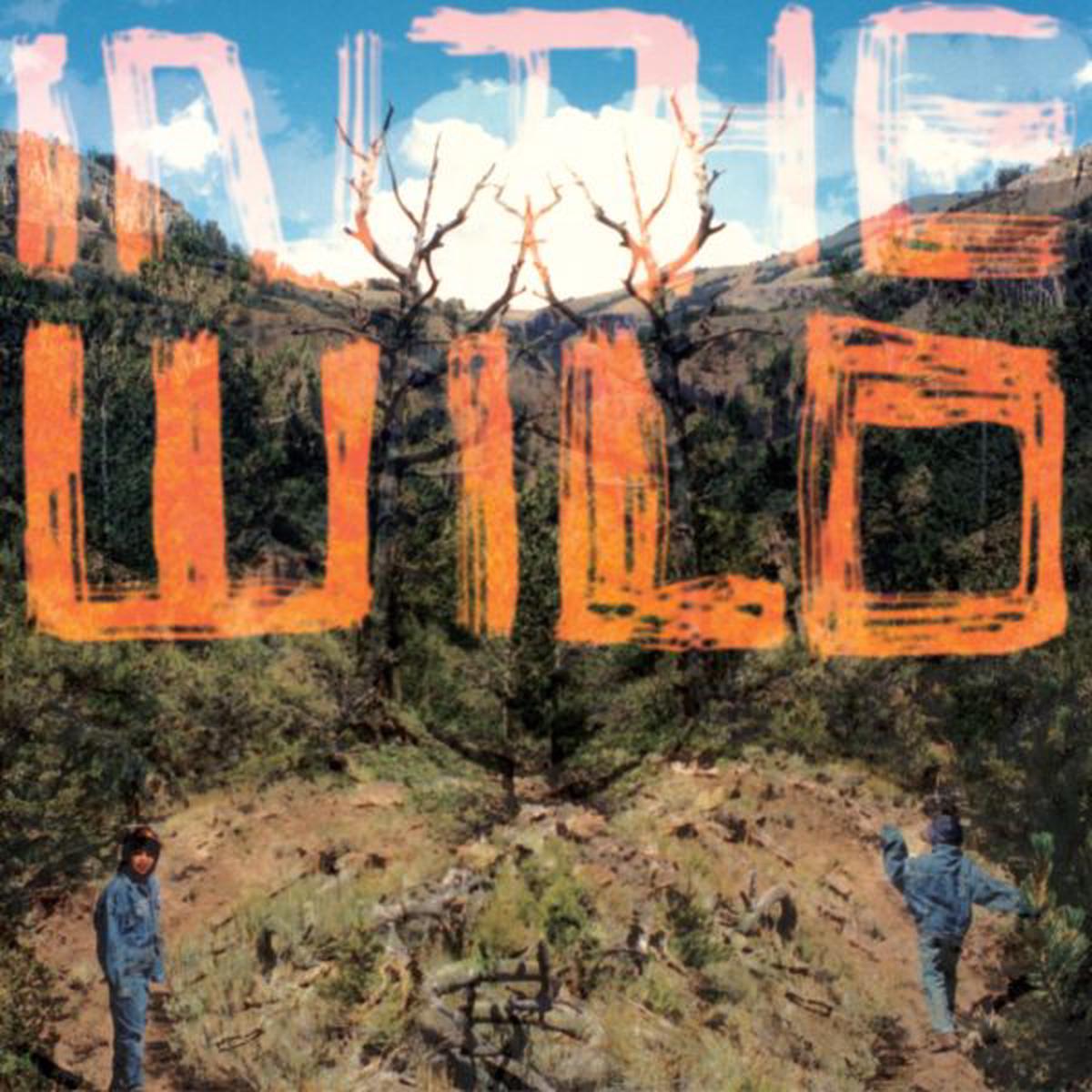 FaltyDL - In The Wild ((CD)) - Default Title