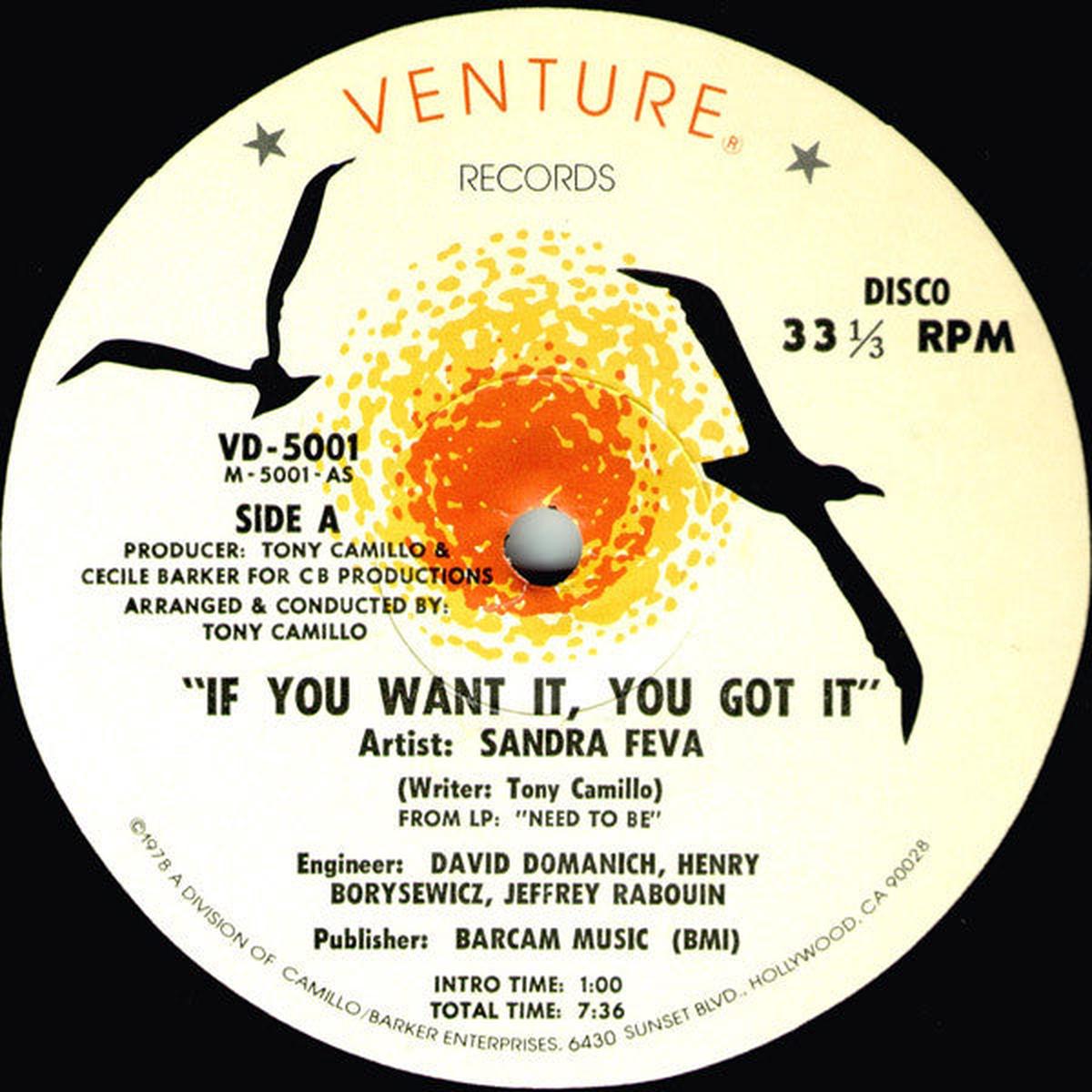 Sandra Feva - If You Want It, You Got It (12") (VG+)