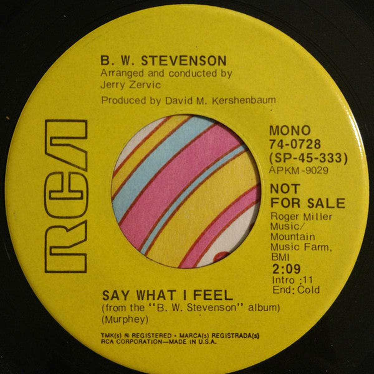B.W. Stevenson - Say What I Feel (7", Mono, Promo) (VG+)
