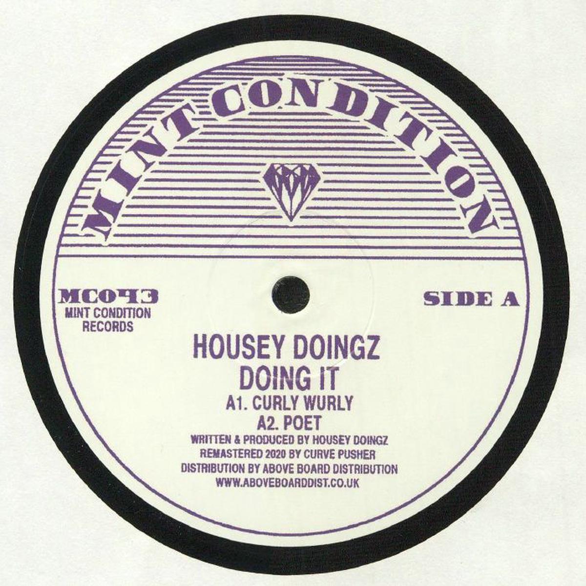 Housey Doingz - Doing It (12")