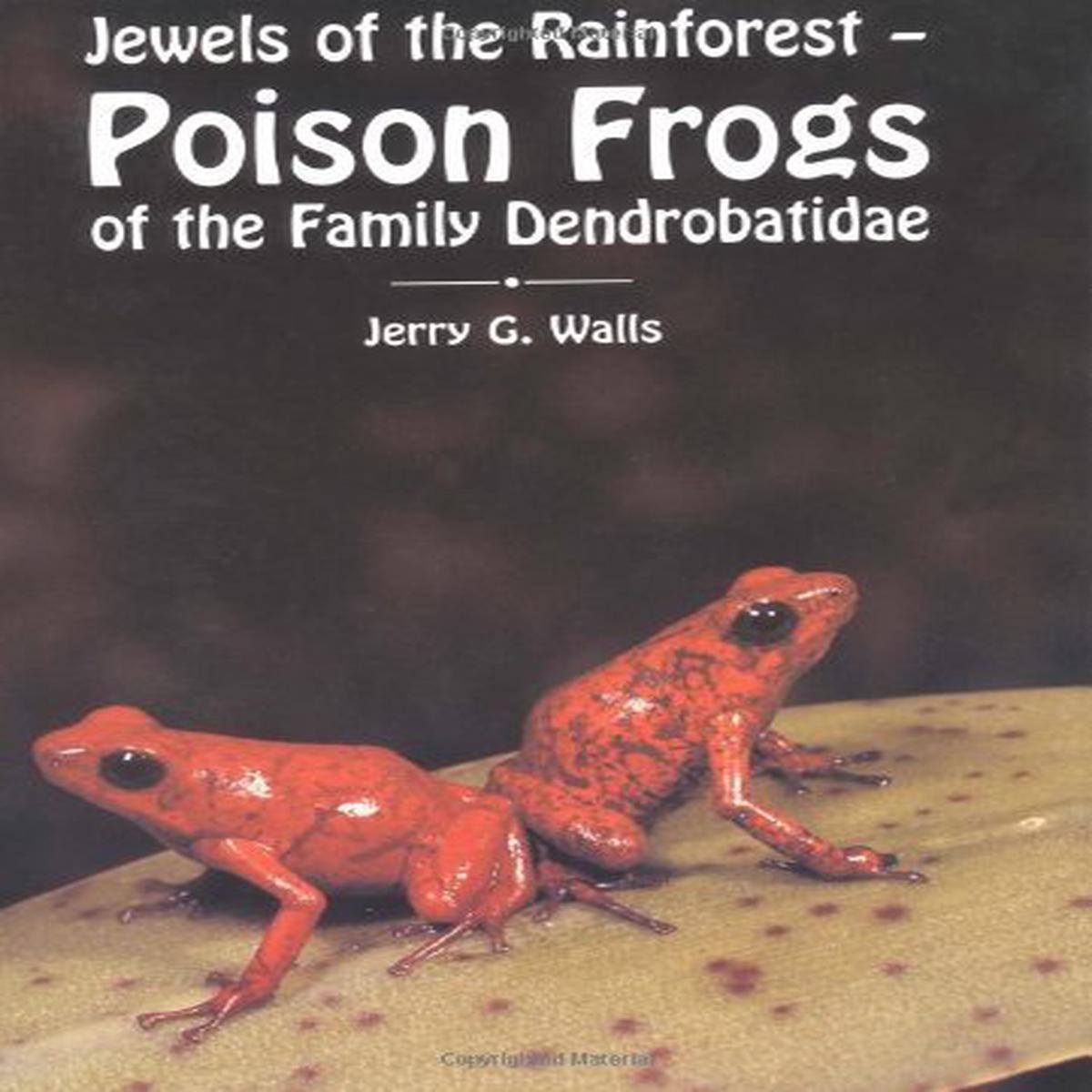 TFH Jewels of the Rainforest Poison Frogs - Default Title