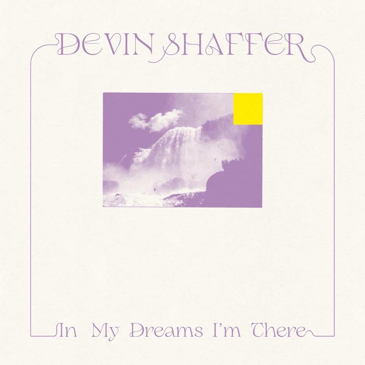 Devin Shaffer - In My Dreams I'm There ((CD)) - Default Title