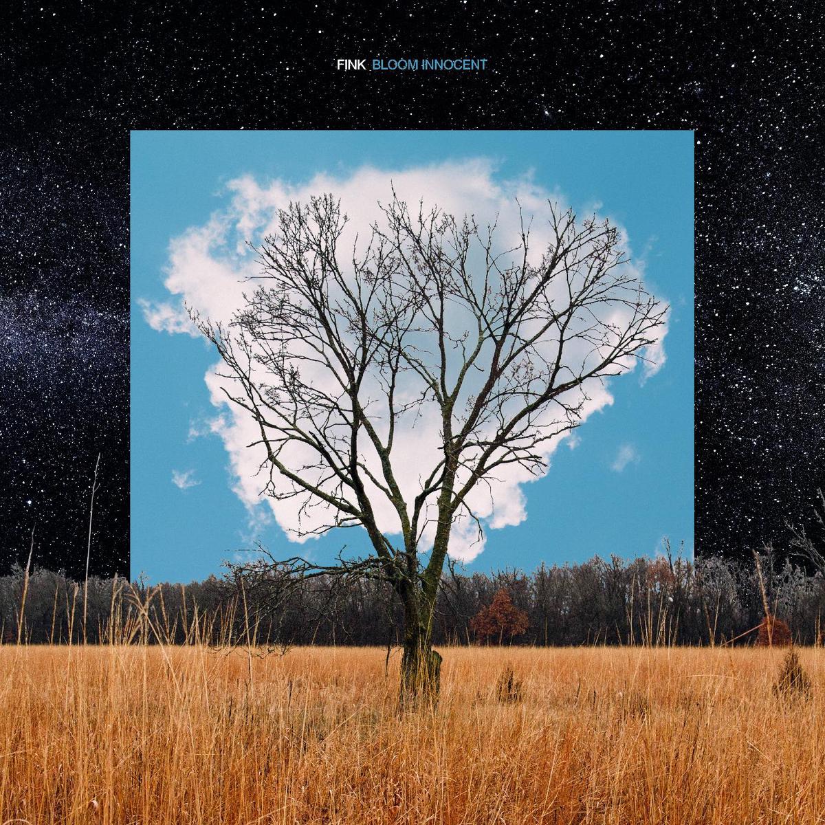 Fink - Bloom Innocent ((CD)) - Default Title