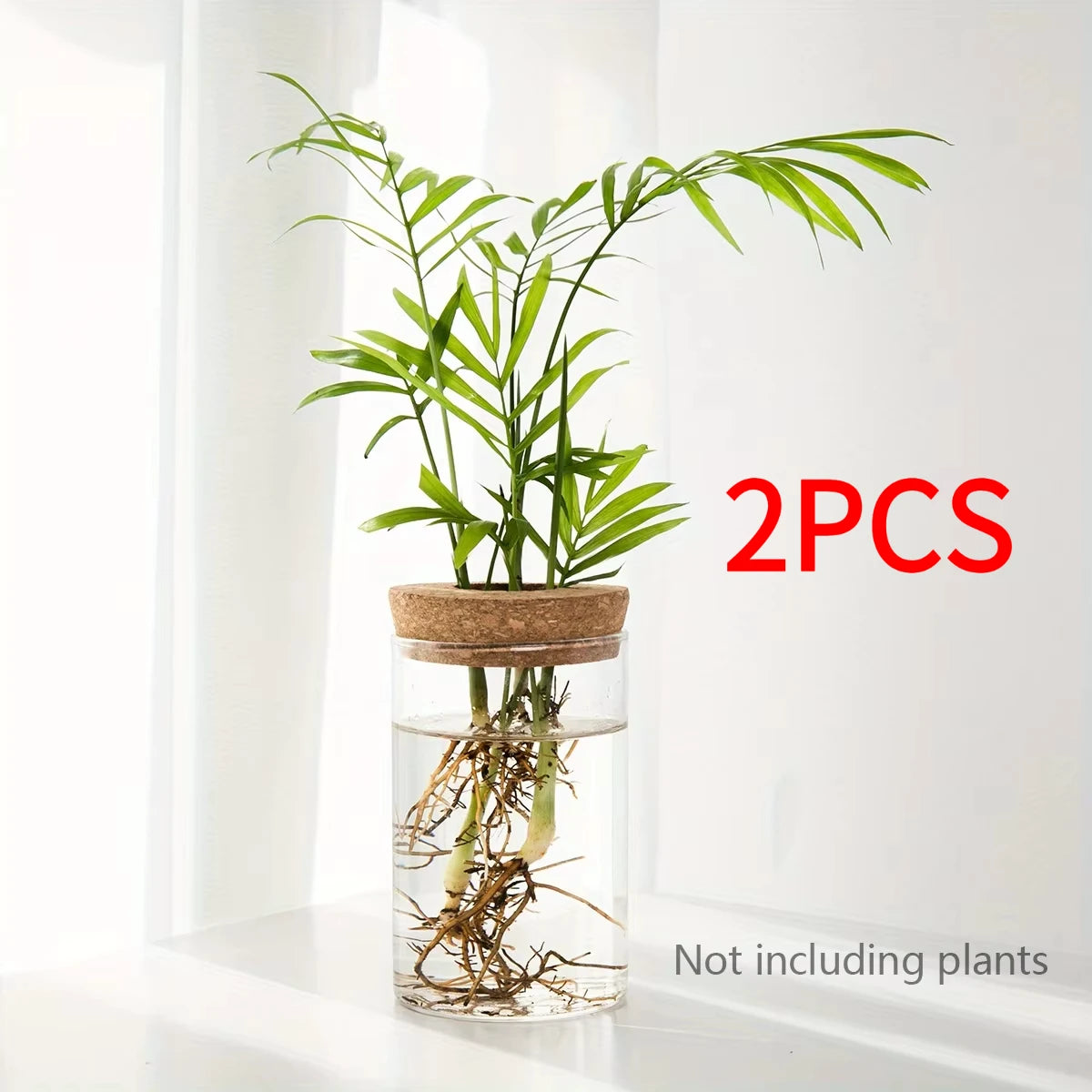 1pc, Hydroponics Plants Desktop Glass Planter Vase For Home Decoration, Plant Propagation Station Bud Vase, Desktop Hydroponics - 6.5X10CM 2pcs | China Mainland